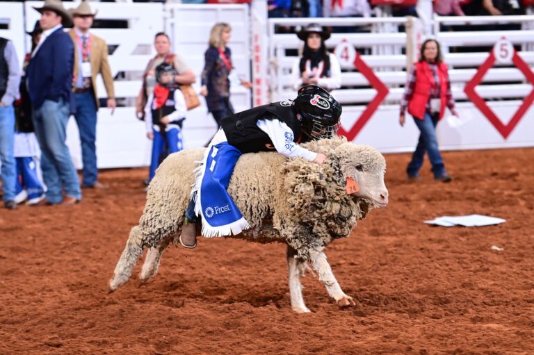 Secc Rodeo Sac-Town Rodeo – Sac-Town Rodeo