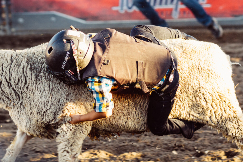 Mutton Ride Sac-Town Rodeo – Sac-Town Rodeo