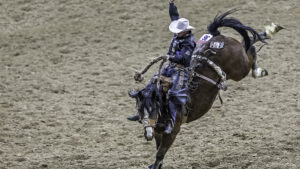Secc Rodeo Sac-Town Rodeo – Sac-Town Rodeo